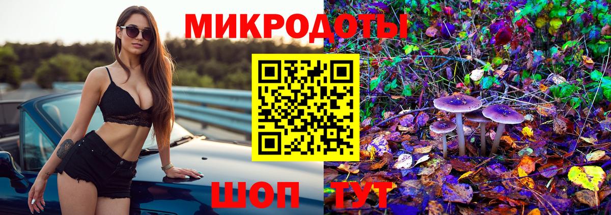 Псилоцибиновые грибы GOLDEN TEACHER  Вход с VPN  Псилоцибиновые грибы Psilocybe  Горно-Алтайск 